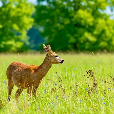 Hot Tub Private - Fountain Fishing Lakes シャレー Amotherby